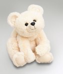 Teddy Bears and Stuffed Toy Animals the Valued Toy of Children